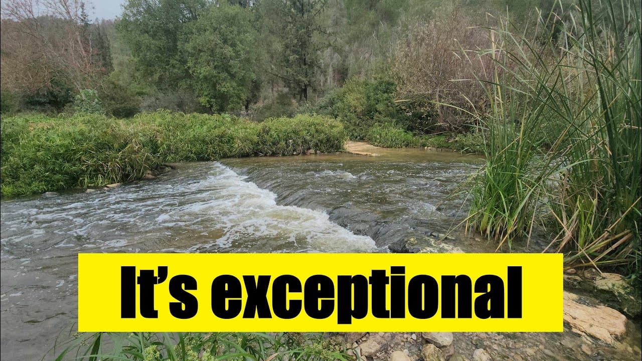 Blessed Water Flow After the Rains | Nahal Sorek, Israel